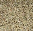 Photo1: Cumin Seed 200g・500g / クミンシード (1)