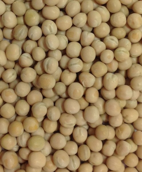 Photo1: White Peas 1kg / エンドウ豆 (1)