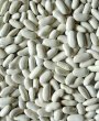 Photo2: White Rubia 1kg / 白インゲン豆 (2)