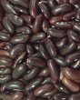 Photo2: Red Lubia（Rajma) 1kg / 金時豆 (2)
