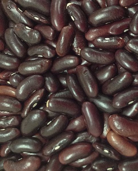 Photo1: Red Lubia（Rajma) 1kg / 金時豆 (1)