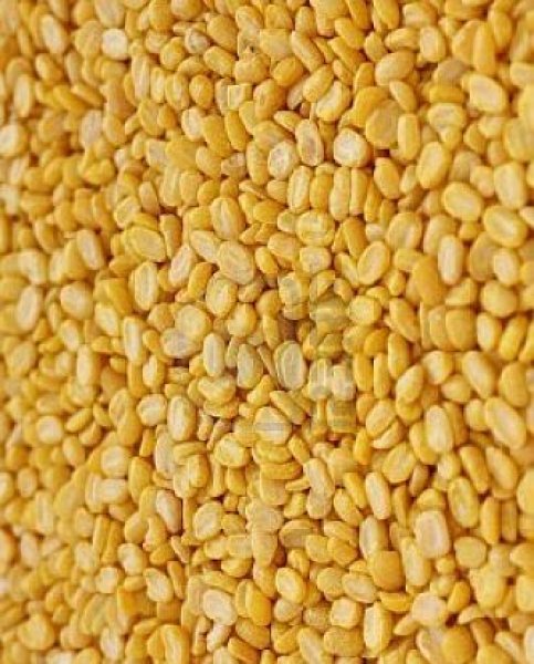 Photo1: Moong Dal 1kg / 緑豆　皮むき (1)