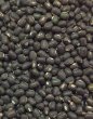 Photo2: Mas whole 1kg / 黒緑豆 (2)