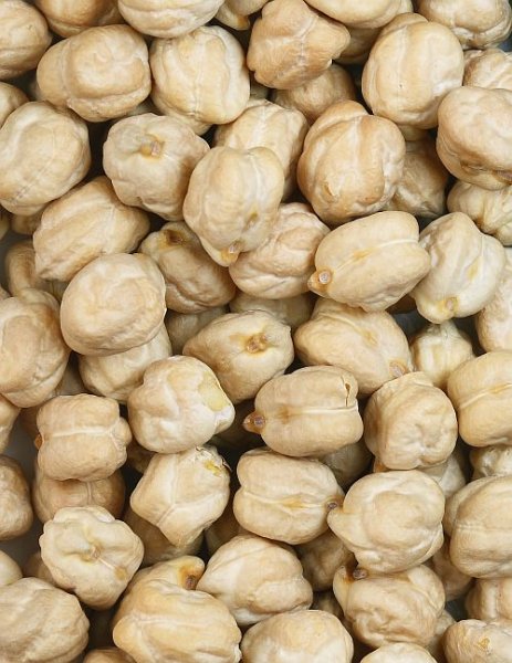 Photo1: WHITE CHANA1kg / ひよこ豆 (1)