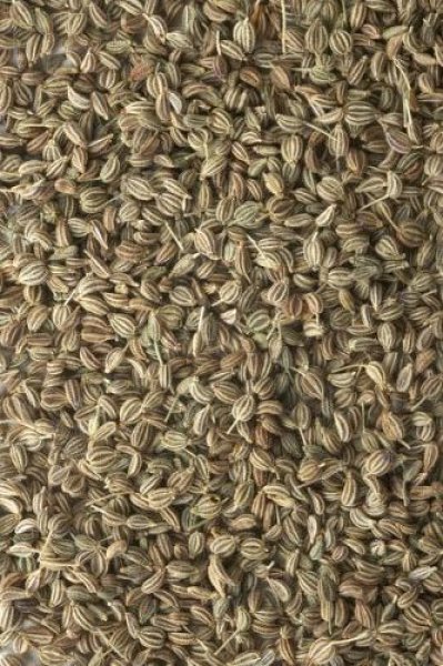 Photo1: Ajwan Seed 100g / アジョワンシード (1)