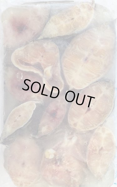 Photo2: 【25%OFF】MAGUR CUT 800g / マグール カット（なまず） (2)