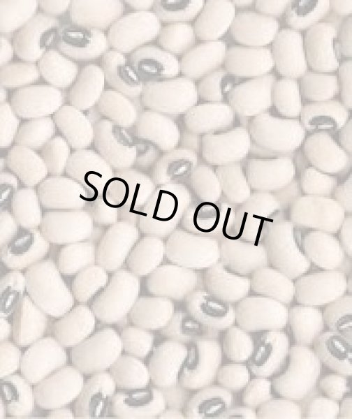 Photo1: Black Eye 1kg / 黒目豆 (1)