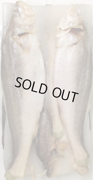 Photo1: POA 500g / ポア [MYANMAR / 三ヤンマー」 (1)