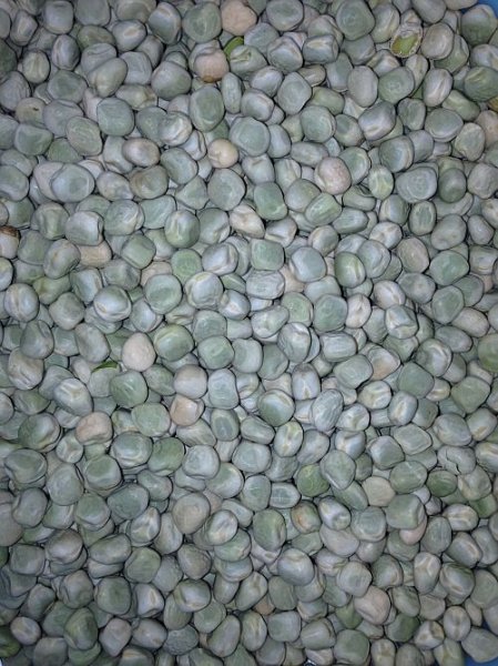 Photo2: Marrowfat Peas1kg / 青えんどう豆 (2)