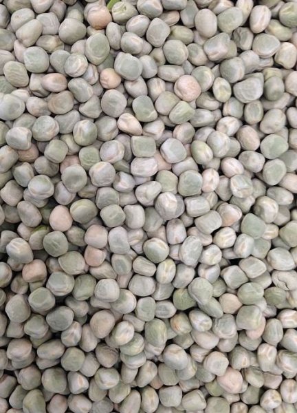 Photo1: Marrowfat Peas1kg / マローファットピース (1)