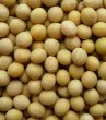 Photo2: Soybeans 1kg / 大豆 (2)