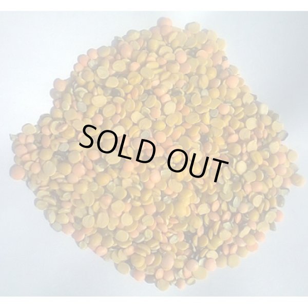 Photo1: MIXED DAL Broken 1kg / ミックスダルブロークン (1)