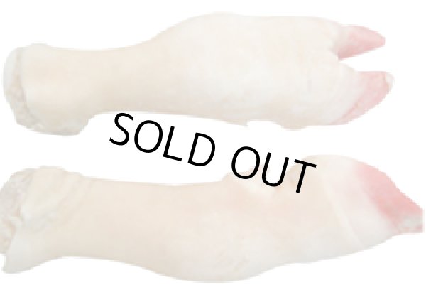 Photo1: MUTTON PAYA 1kg / マトンパヤ（足蹄部） (1)