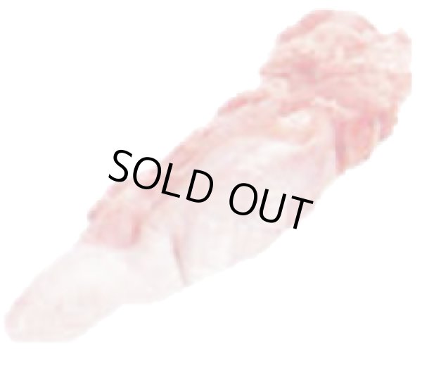 Photo1: SHEEP TONGUE 1kg / 羊タン (1)