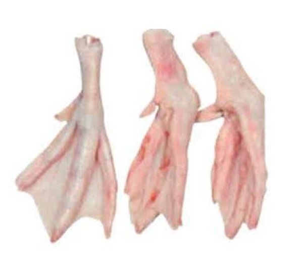 Photo1: DUCK FEET 2kg CP / 鴨足 (1)