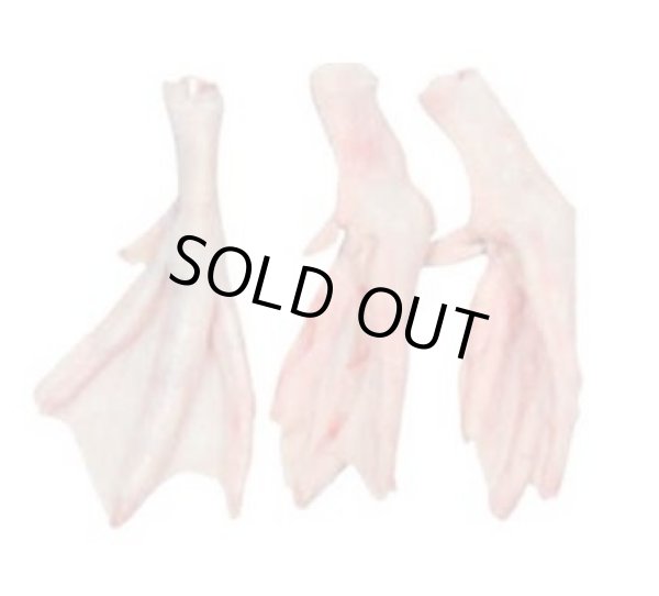 Photo1: DUCK FEET 2kg CP / 鴨足 (1)