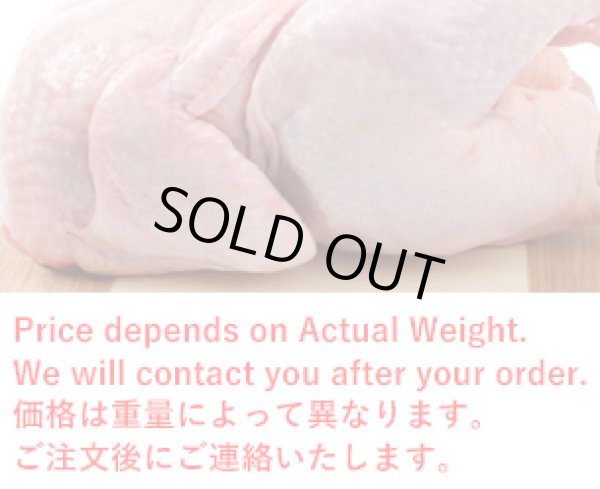 Photo1: CHICKEN SOFT JP（2kgUP）850yen/kg  / 丸鶏（ソフト） (1)
