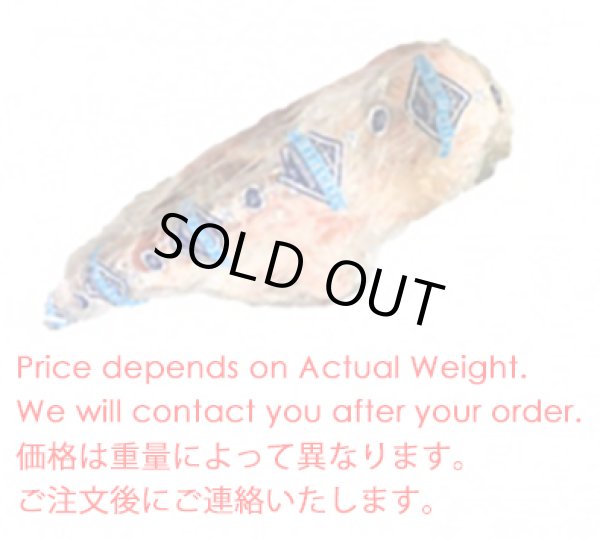 Photo1: LAMB BONE IN LEG WHOLE 3~4KG  (1480/kg) / ラム(子羊)骨付き脚ホール (1)