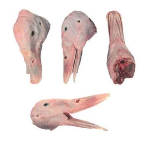 Photo1: DUCK HEAD WITHOUT TONGUE CP 2kg / 鴨頭舌なし (1)