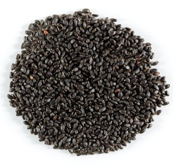 Photo1: SWEET BASIL SEED100g / バジルシード (1)