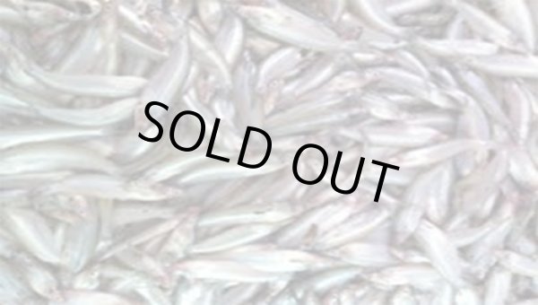 Photo3: BATASHI 250g / バタシ (3)