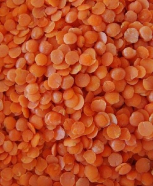 Photo1: Mushri Split (Lentil) 1kg / ムシュリ皮むき(レンズ豆) (1)