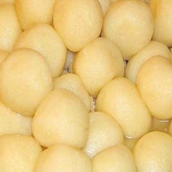 Photo1: Rossogolla Fresh 500g / ロショゴラ  (1)