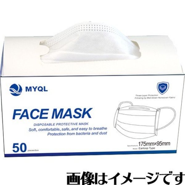 Photo1: FACE MASK B– BOX OF 50P / 不織布マスク (1)