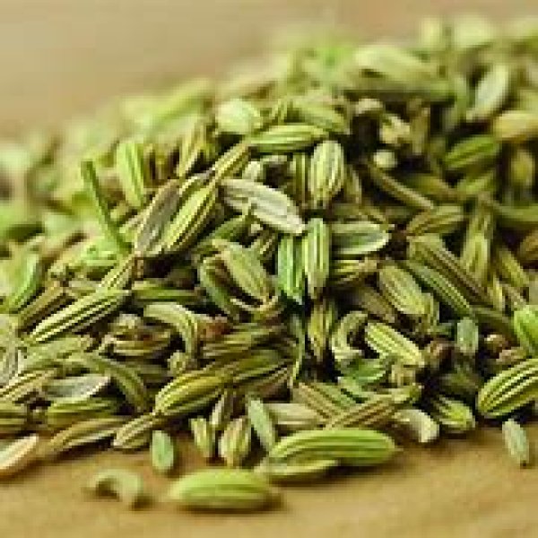 Photo1: FENNEL SEED 500g / フェンネルシード  (1)