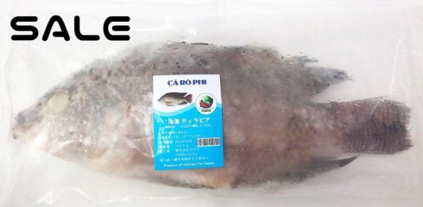 Photo1: BLACK TILAPIA 400-600g / 黒いティラピア/kg (1)