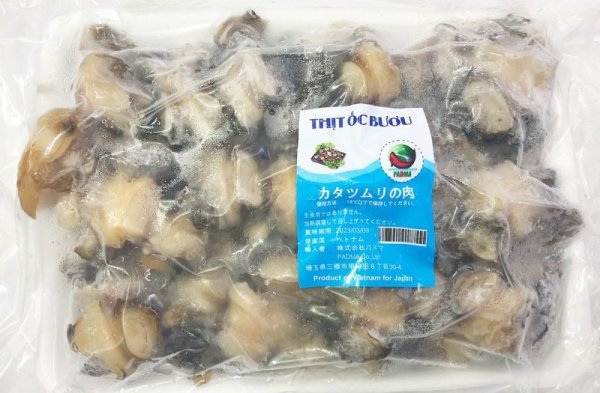 Photo1: APPLE SNAIL 500g / カタツムリの肉 500g (1)