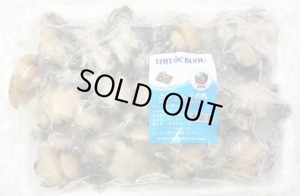 Photo1: APPLE SNAIL 500g / カタツムリの肉 500g (1)