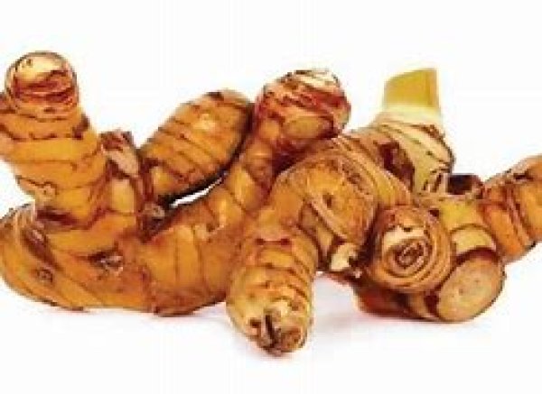 Photo1: Galangal 350g / ガランガ (1)