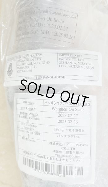 Photo3: PANGUSH WHOLE CUT 4kg UP(880yen/kg) / パンガシホールカット [BANGLADESH / バングラデシュ] (3)