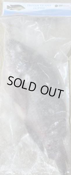Photo2: TILAPIA  THAI  400-500g / タイティラピア [640￥/Kg] (2)