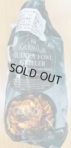 Photo1: 【25%OFF】TITIR BIRDS (1600g) [GUINEA FOWL GRILLER] (1)