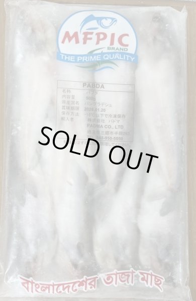 Photo1: PABDA FISH 500g / BD産 パブダ 500G (1)