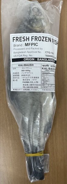 Photo2: KALI BAUSH 800g ~ 1000G  / BD産 カリバウシュ 800g ~1000g [PRICE OF PER PCS] (2)