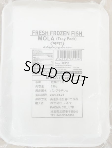 Photo2: MOLA 250g BANGLADESH / BD産 モラ 250ｇ (2)