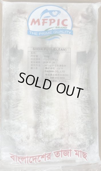 Photo1: SHOR PUTI 500ｇ BD / BD産 ショアプティ 500ｇ (1)
