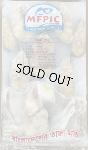 Photo1: BOAL 500g BD / BD産 ボアル 500g (1)