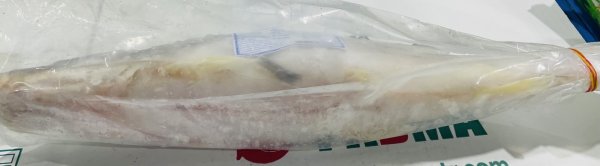 Photo3: AYER WHOLE CUT 1.5 Kg UP (1,250¥/Kg)/ アイル魚ホールカット (3)