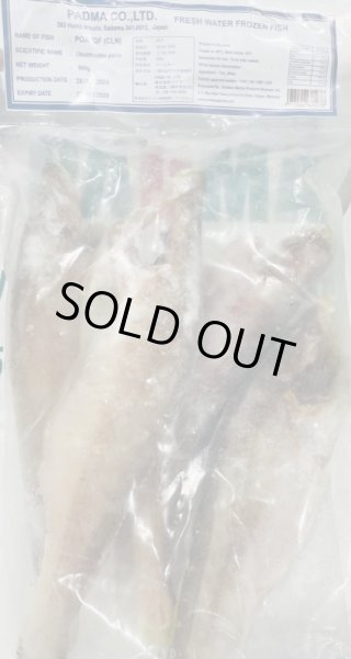 Photo2: POA 500g / ポア [MYANMAR / 三ヤンマー」 (2)