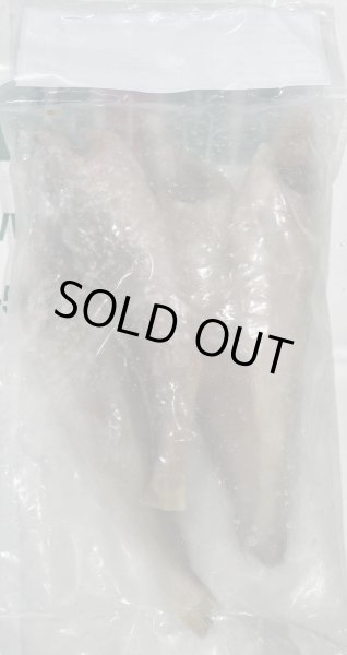 Photo3: POA 500g / ポア [MYANMAR / 三ヤンマー」 (3)