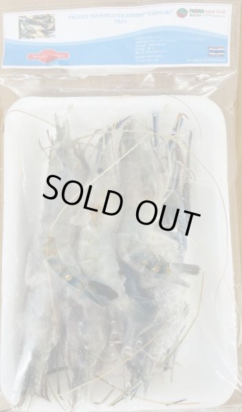 Photo1: SHRIMP (CHINGRI / AB) THAI 250g [ 25~30]/ シュリンプ　タイ　250g [ 25~30] (1)