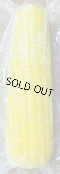 Photo2: FROZEN SWEET CORN / 冷凍スイートコーン　（トウモロコシ） (2)