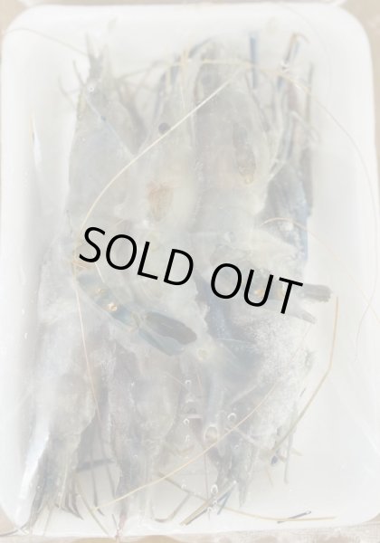 Photo2: SHRIMP (CHINGRI / AB) THAI 250g [ 25~30]/ シュリンプ　タイ　250g [ 25~30] (2)