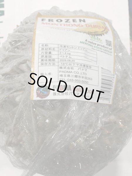 Photo1: Frozen Durian Whole 3-3.5kg (1380yen/kg) / ドリアンホール (1)