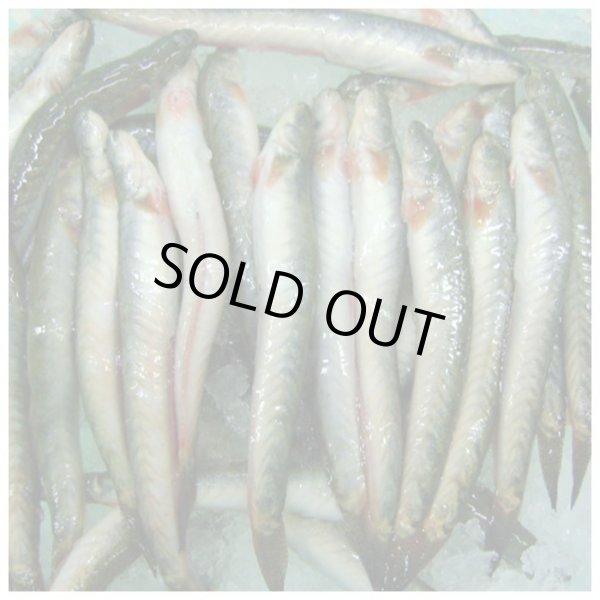 Photo3: K.CHIRING 500g BD / BD産 ケーチリング 500g (3)