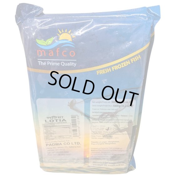 Photo2: LOTIA 500g/BD産 ロティア500g (2)